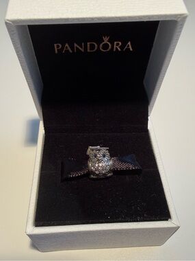 Pandora Graduation Owl Charm
